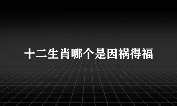 十二生肖哪个是因祸得福
