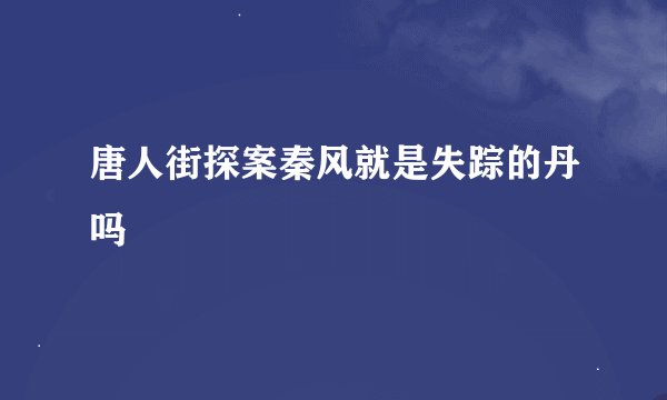 唐人街探案秦风就是失踪的丹吗