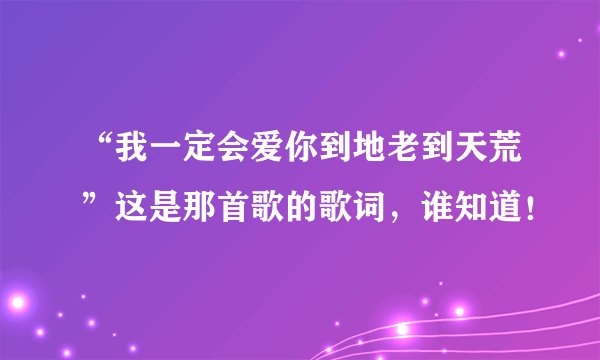 “我一定会爱你到地老到天荒”这是那首歌的歌词，谁知道！