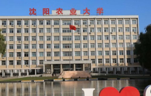 沈阳农业大学录取通知书发放时间