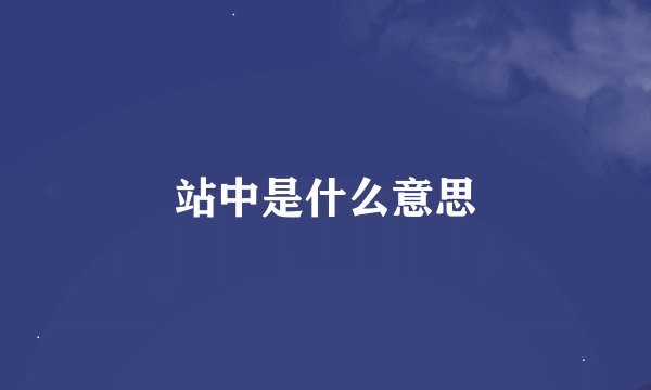 站中是什么意思