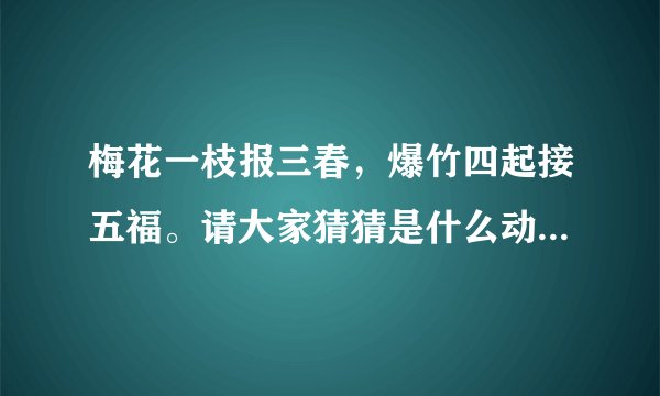梅花一枝报三春，爆竹四起接五福。请大家猜猜是什么动物生肖呢？？？？？