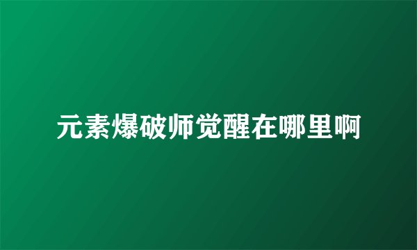 元素爆破师觉醒在哪里啊