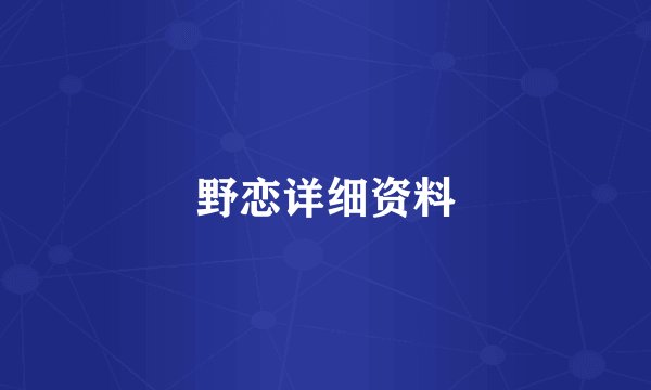 野恋详细资料