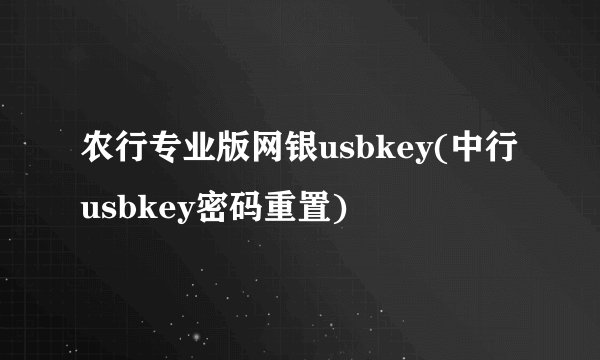农行专业版网银usbkey(中行usbkey密码重置)