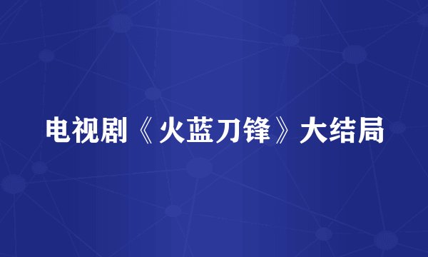 电视剧《火蓝刀锋》大结局
