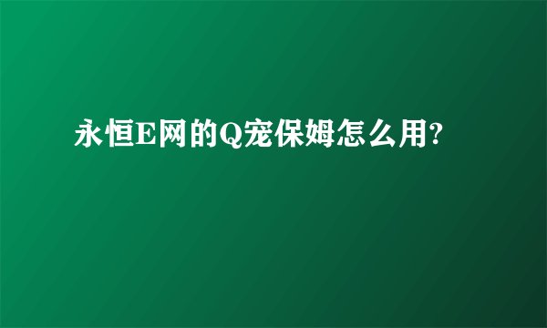 永恒E网的Q宠保姆怎么用?