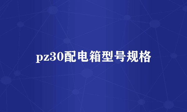 pz30配电箱型号规格
