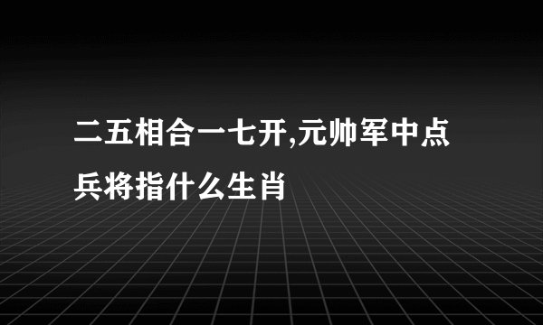 二五相合一七开,元帅军中点兵将指什么生肖