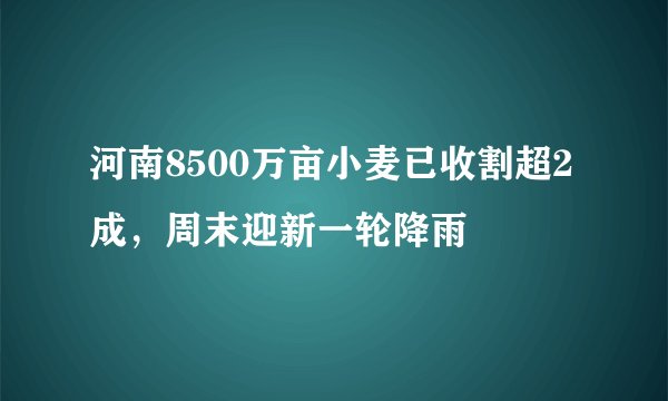 河南8500万亩小麦已收割超2成，周末迎新一轮降雨