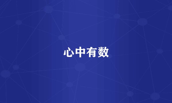 心中有数