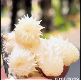 五步蛇蛇花是什么东西