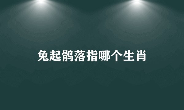 兔起鹘落指哪个生肖