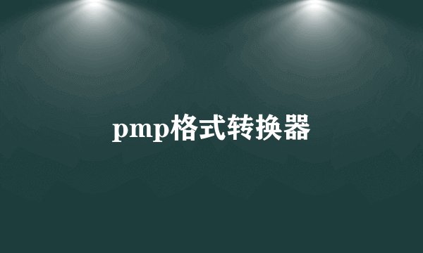 pmp格式转换器