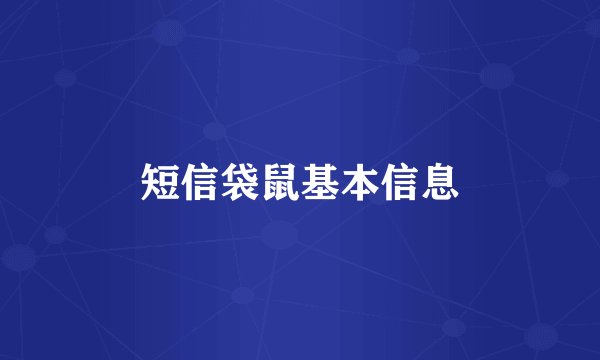 短信袋鼠基本信息