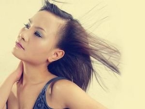 上官红燕的个人作品