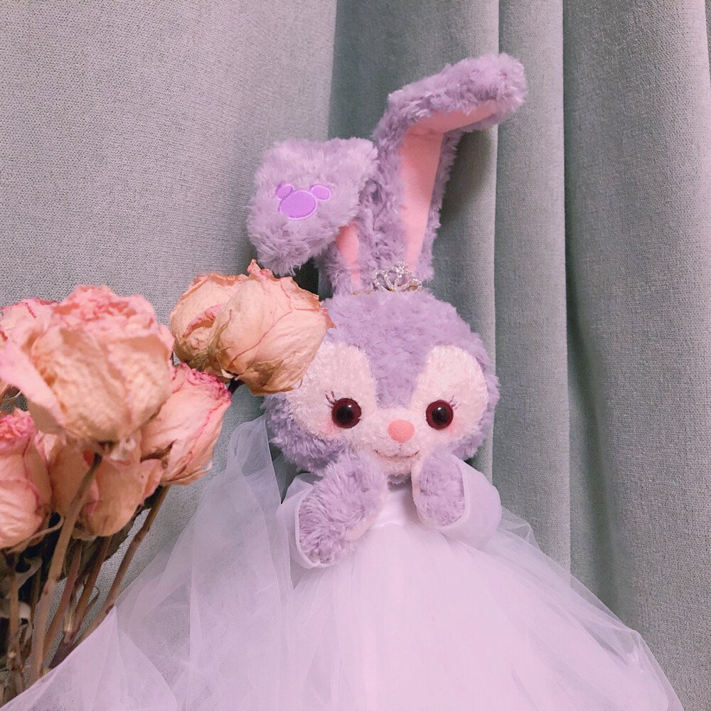 上海一95后女生收藏数百只星黛露,此女子收藏这么多星黛露有什么意义?