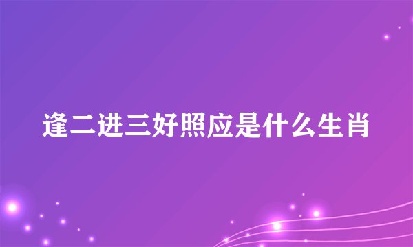 逢二进三好照应是什么生肖