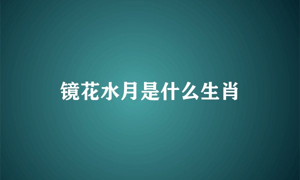镜花水月是什么生肖