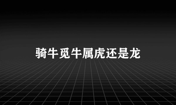骑牛觅牛属虎还是龙