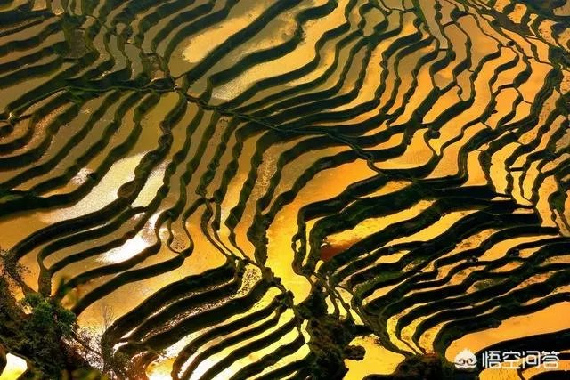 3月份最适合旅游的地方是哪里?