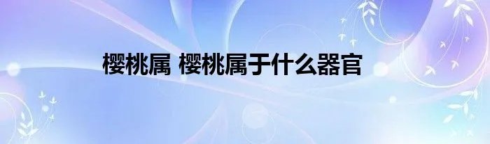 樱桃属 樱桃属于什么器官