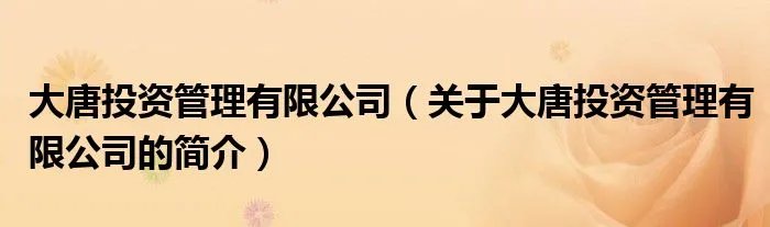 大唐投资管理有限公司（关于大唐投资管理有限公司的简介）