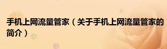 手机上网流量管家（关于手机上网流量管家的简介）