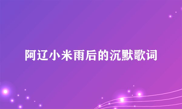 阿辽小米雨后的沉默歌词