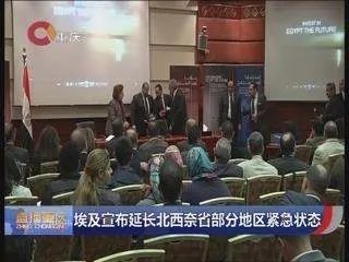 埃及延长紧急状态发生什么事了?