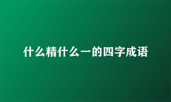什么精什么一的四字成语