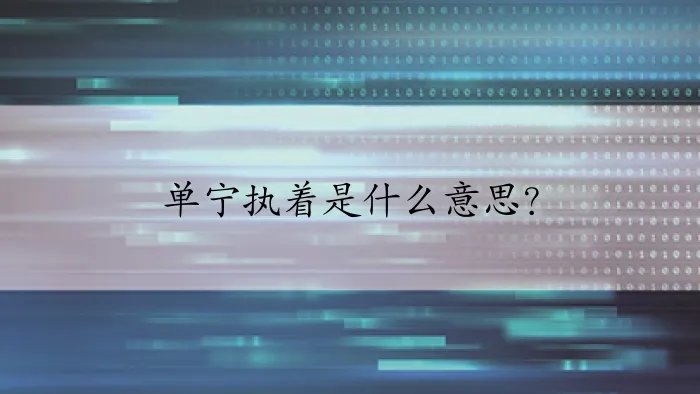 单宁执着是什么意思?