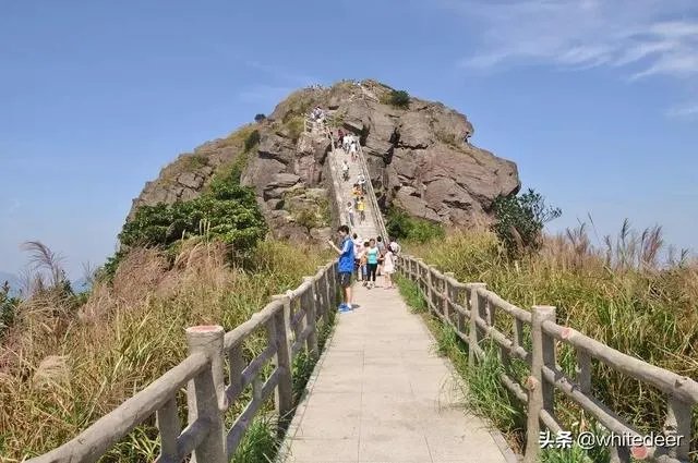 东莞的观音山国家森林公园怎么样？