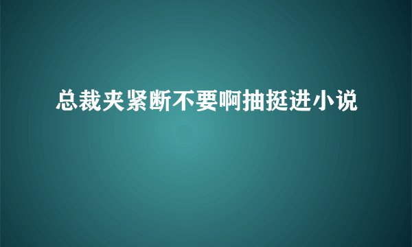 总裁夹紧断不要啊抽挺进小说