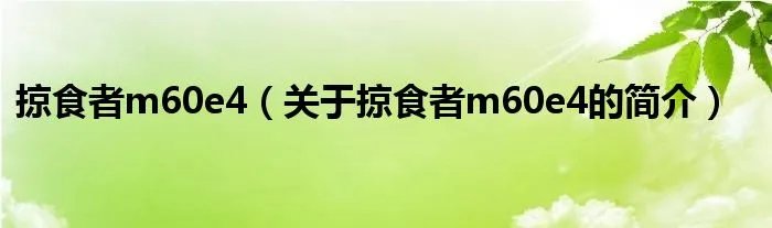 掠食者m60e4（关于掠食者m60e4的简介）