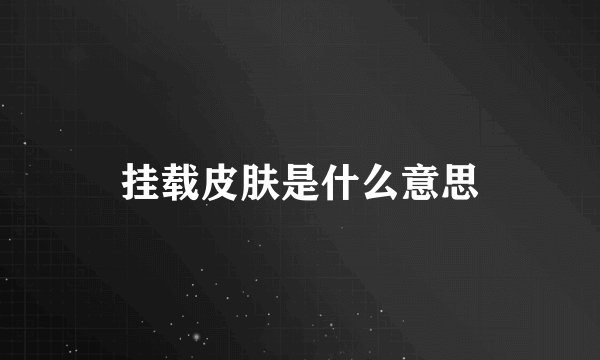 挂载皮肤是什么意思