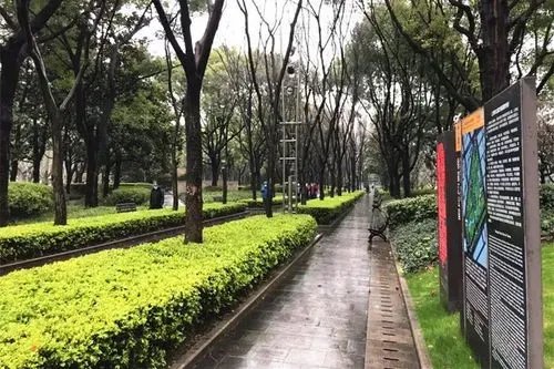 受疫情影响上海部分公园临时闭园,当地的疫情情况如何?