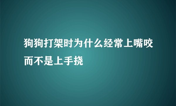 狗狗打架时为什么经常上嘴咬而不是上手挠