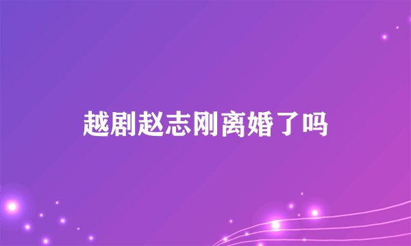 越剧赵志刚离婚了吗