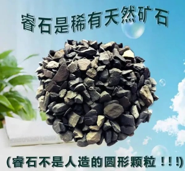 除甲醛权威公司有哪些？