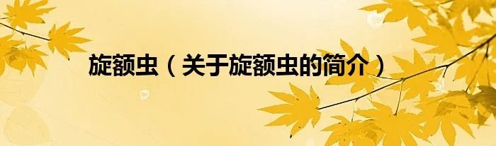 旋额虫（关于旋额虫的简介）