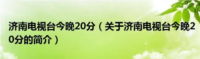 济南电视台今晚20分（关于济南电视台今晚20分的简介）