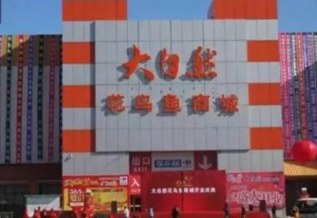 长春有哪些花鸟鱼市场?