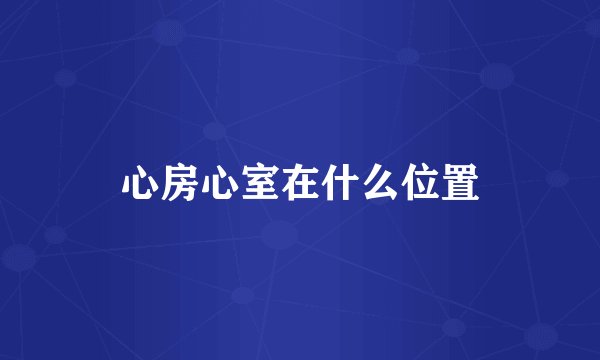 心房心室在什么位置