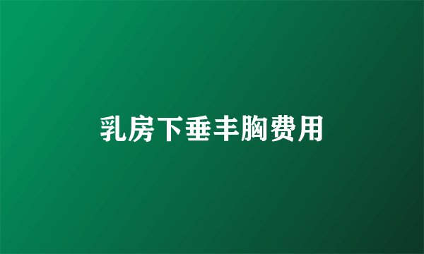 乳房下垂丰胸费用