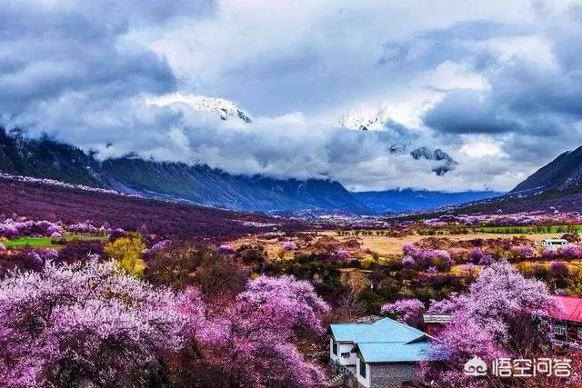 3月份最适合旅游的地方是哪里?