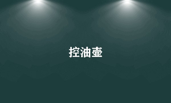 控油壶