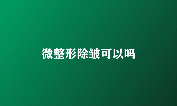 微整形除皱可以吗