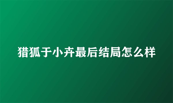 猎狐于小卉最后结局怎么样