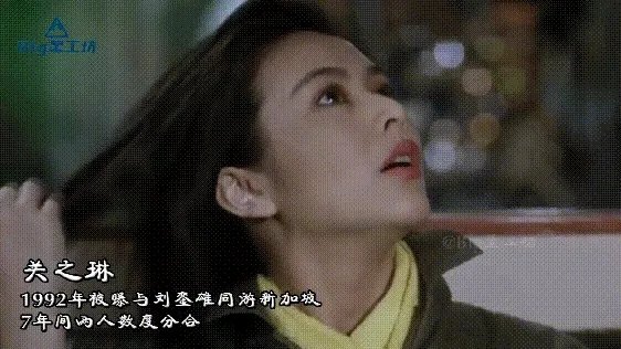 洪欣肉丸子事件是真的吗?洪欣和刘銮雄什么关系